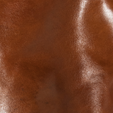 OIL WAX HORSE
