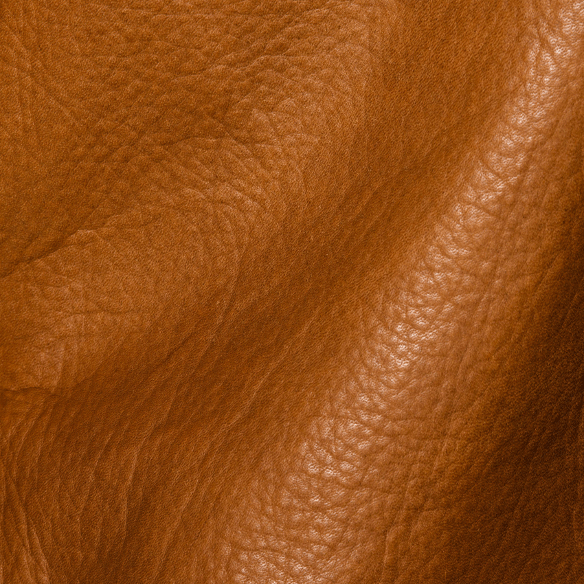 STEER OIL