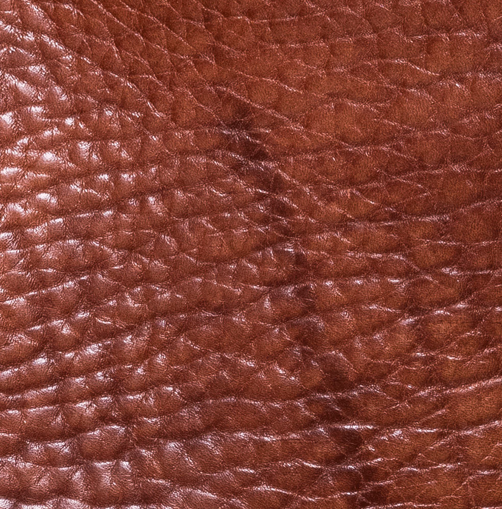 BULL HIDE