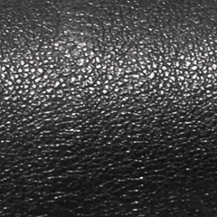 SHEEP SKIN