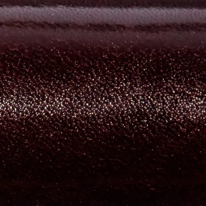 ANILINE STEER leather jacket brand