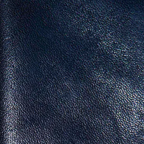 INDIGO HORSE
